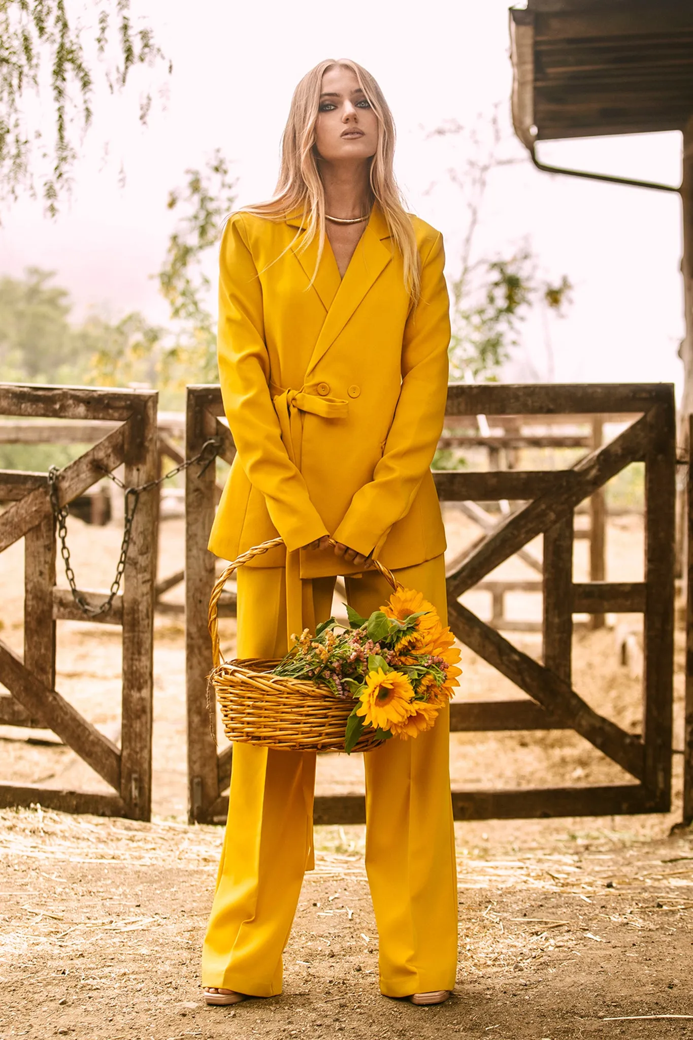 Erin Double Breasted Belted Blazer (Yellow)