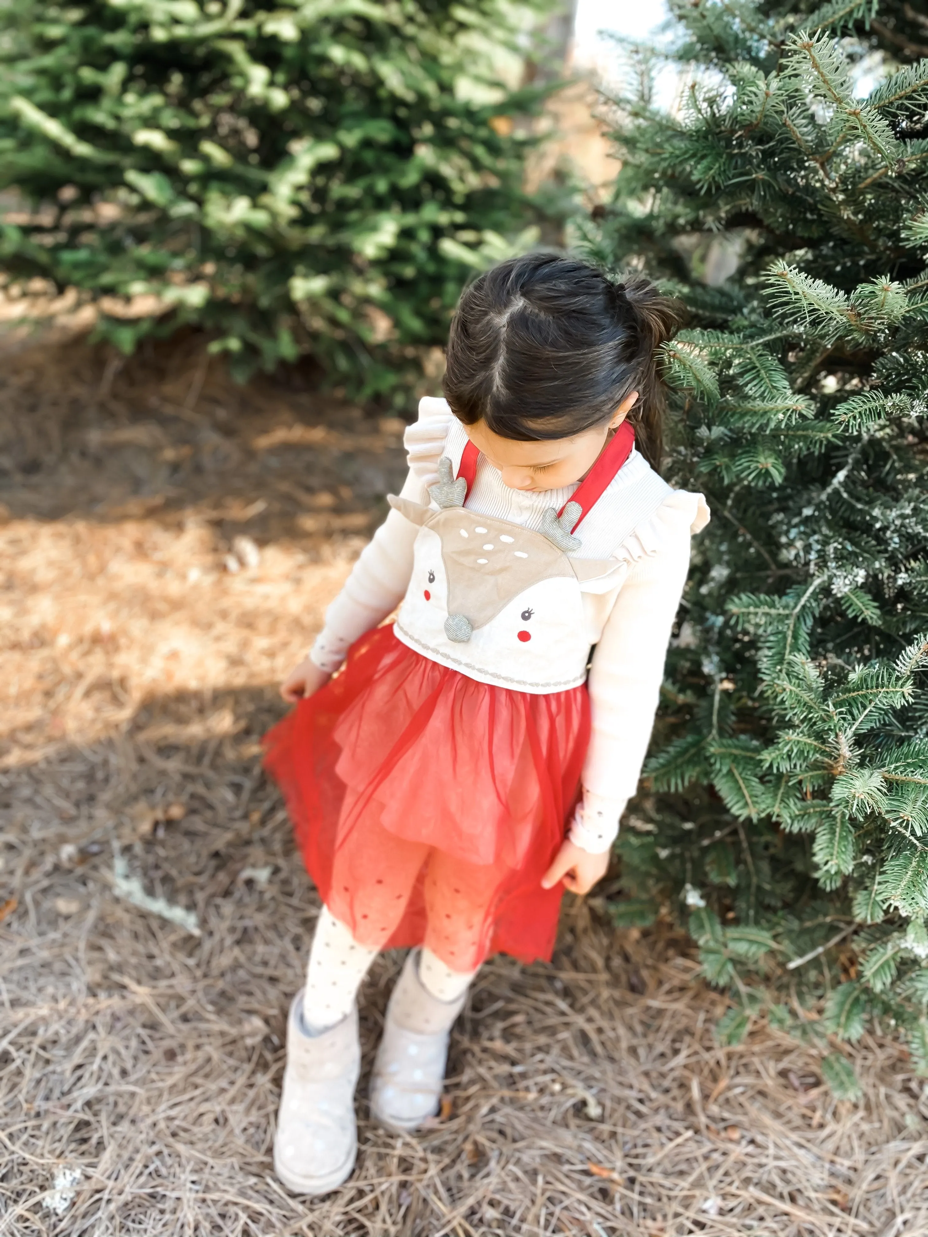 Holiday Reindeer Play Apron