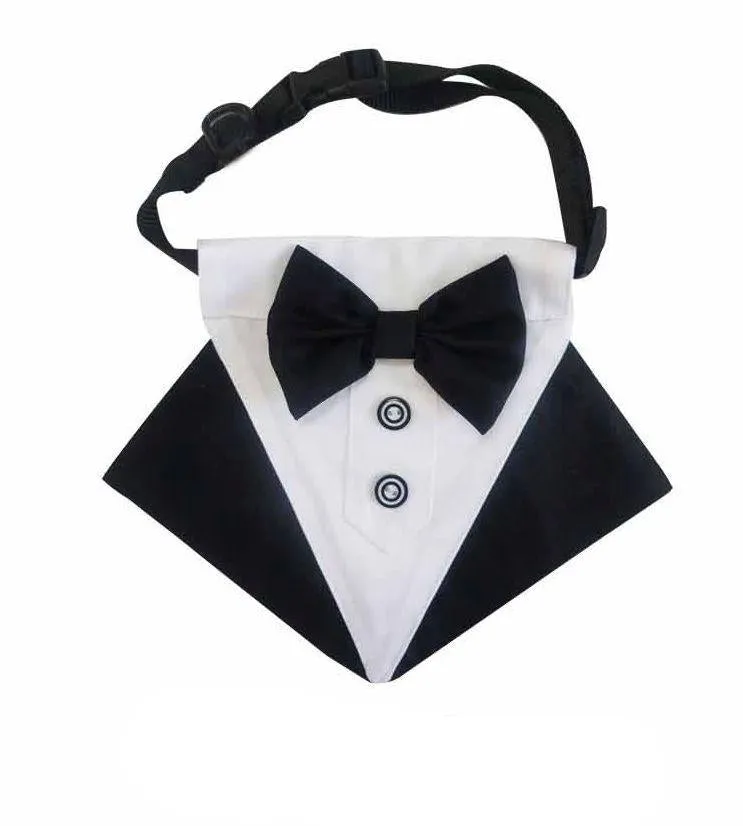 Pawpatu Black and White Tuxedo Bib for Pets