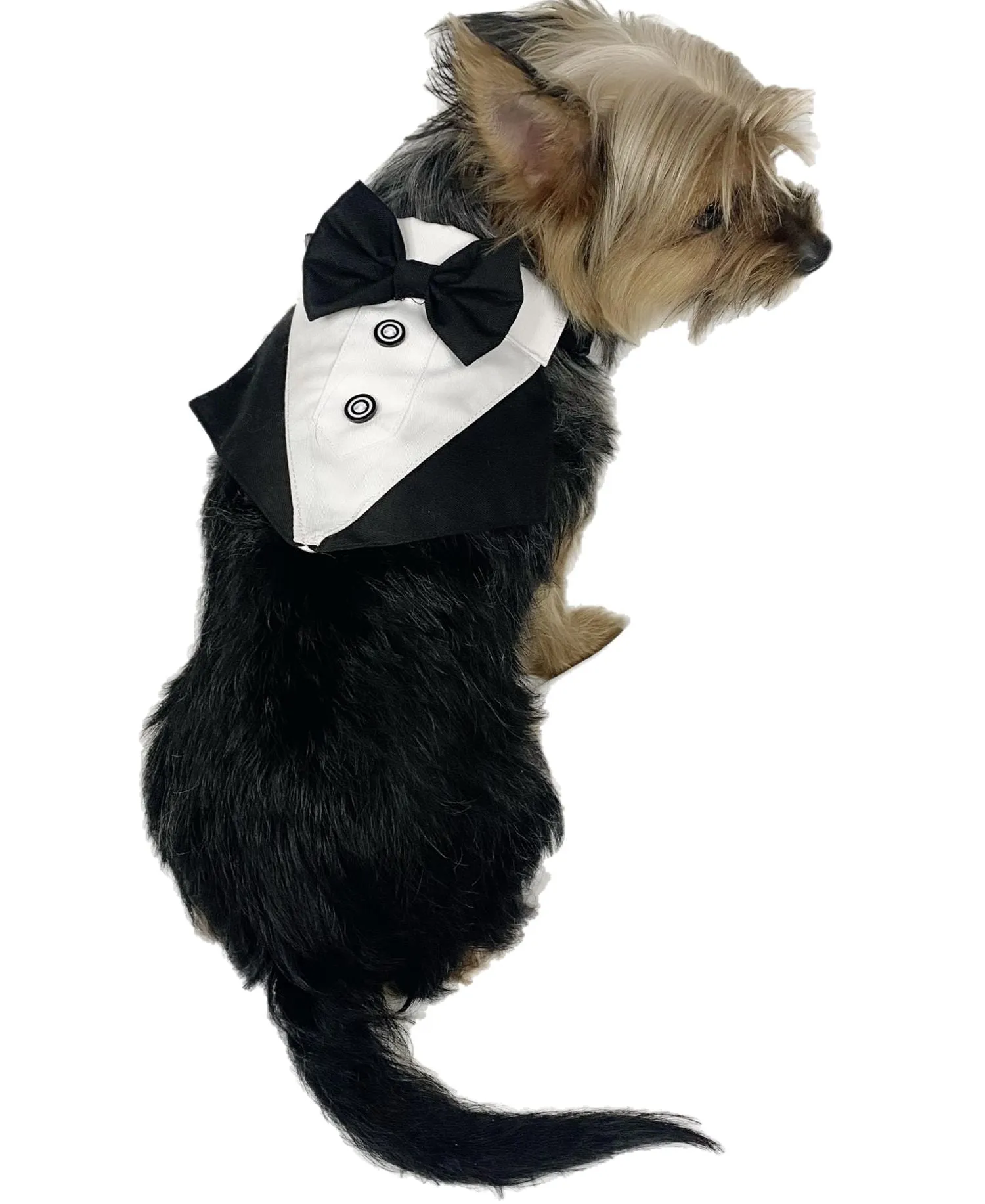 Pawpatu Black and White Tuxedo Bib for Pets